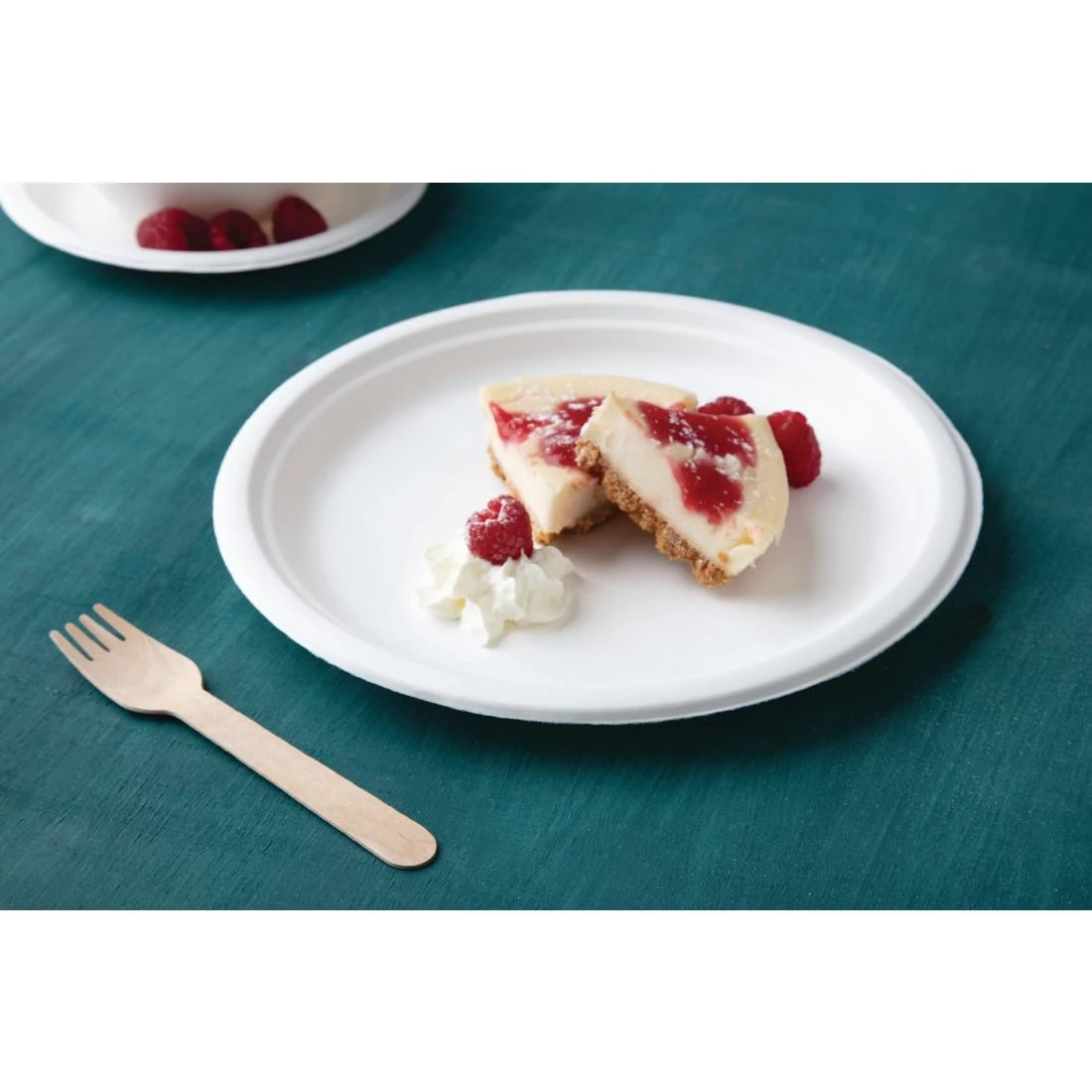 Fiesta Compostable Bagasse Plates Round 260mm (Pack Of 50) - Image 5