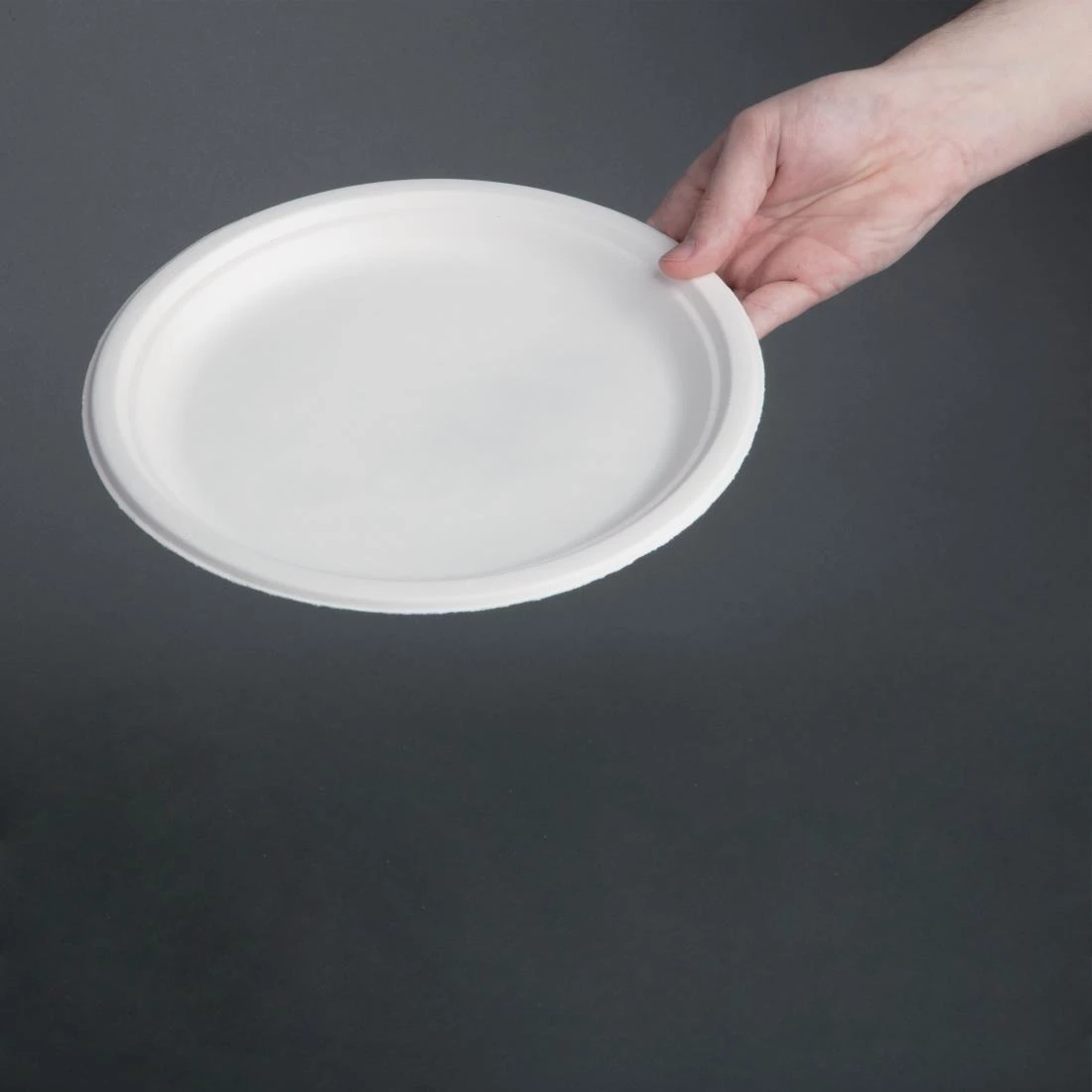 Fiesta Compostable Bagasse Plates Round 260mm (Pack Of 50) - Image 4