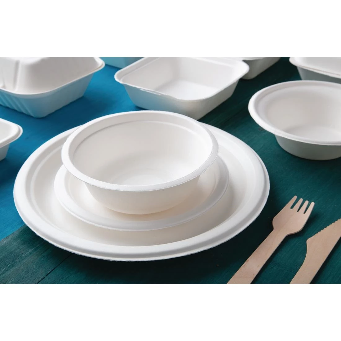 Fiesta Compostable Bagasse Plates Round 260mm (Pack Of 50) - Image 7