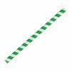 Fiesta Compostable Paper Smoothie Straws Green Stripes (Pack Of 250)